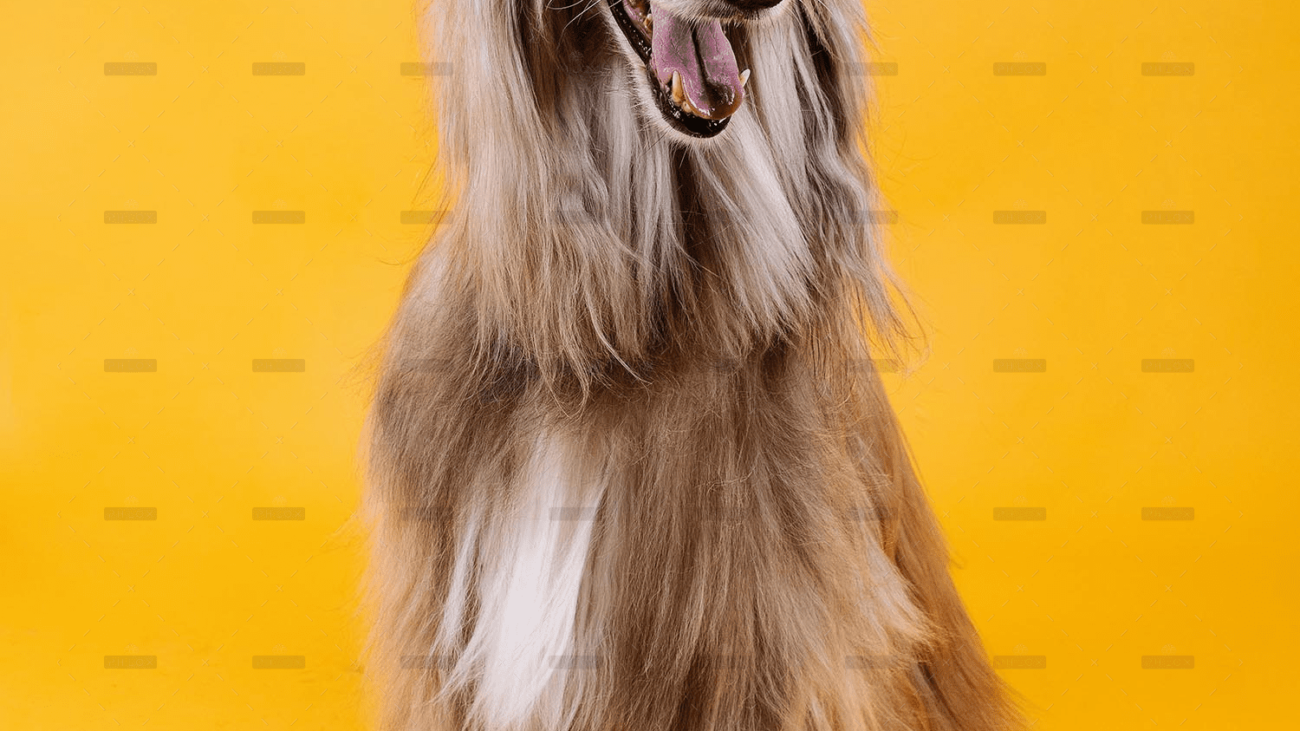 demo-attachment-766-julio-bernal-WLGx0fKFSeI-unsplash