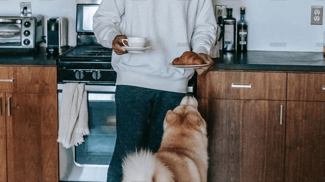 demo-attachment-760-pexels-zen-chung-5749807