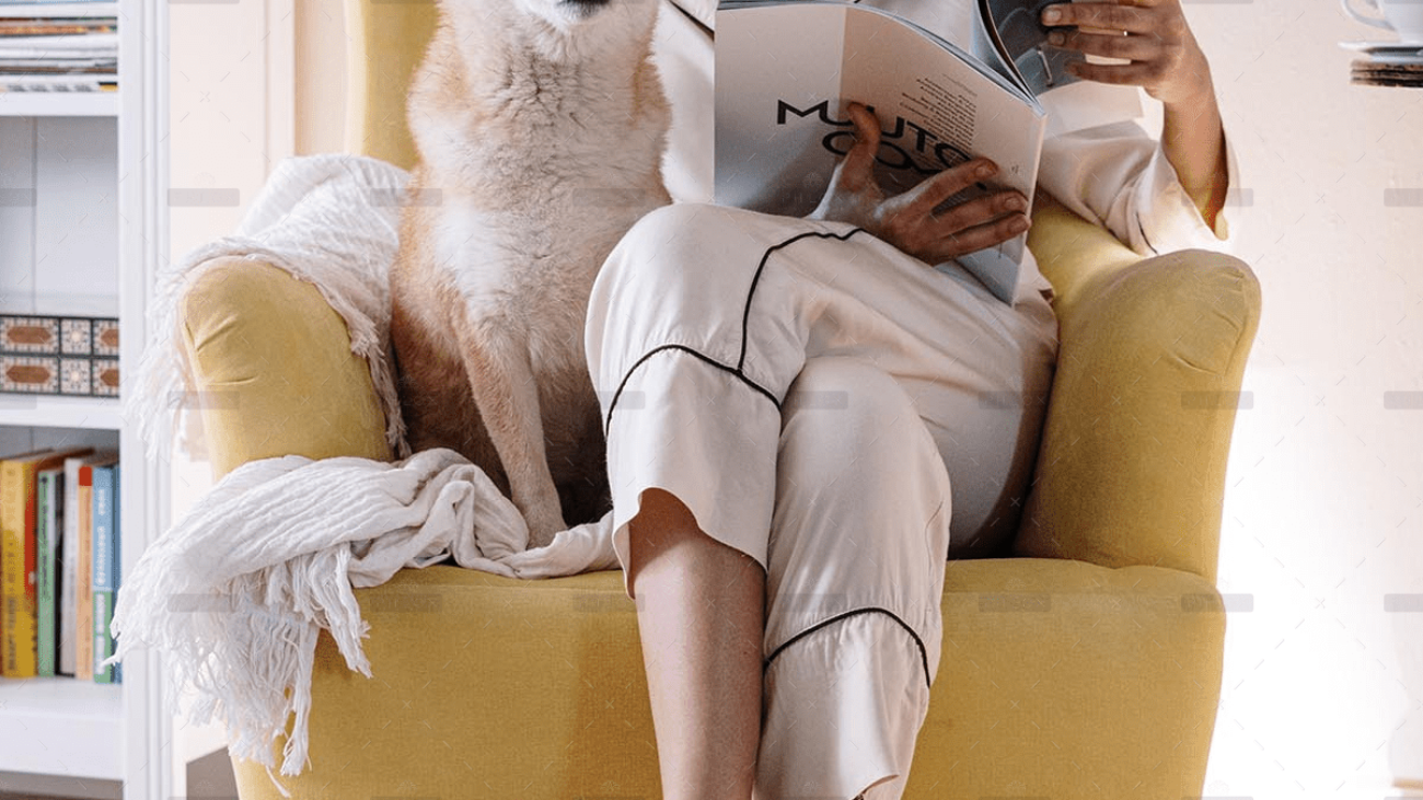 demo-attachment-2038-pexels-cottonbro-4056470