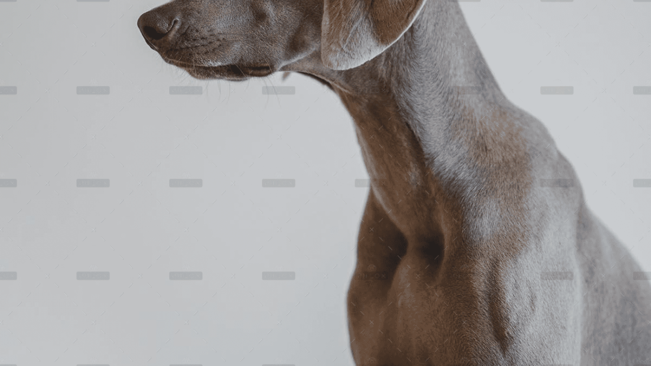 demo-attachment-4057-cristofer-jeschke-3HjLaBmY2a4-unsplash