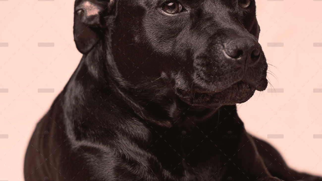 demo-attachment-4054-victor-grabarczyk-2pbnDRhXc6Q-unsplash